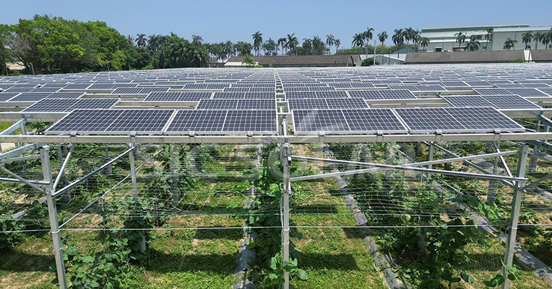 Explorer la taille idéale d’un parc solaire : les dernières perspectives en 2024